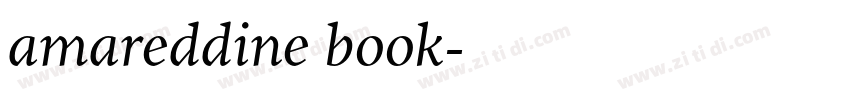 amareddine book字体转换